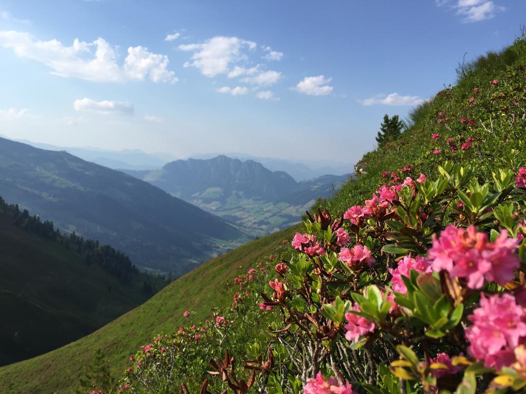 Das Alpbach Juwel Экстерьер фото