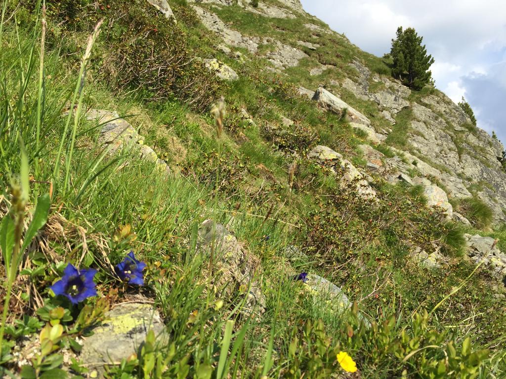 Das Alpbach Juwel Экстерьер фото