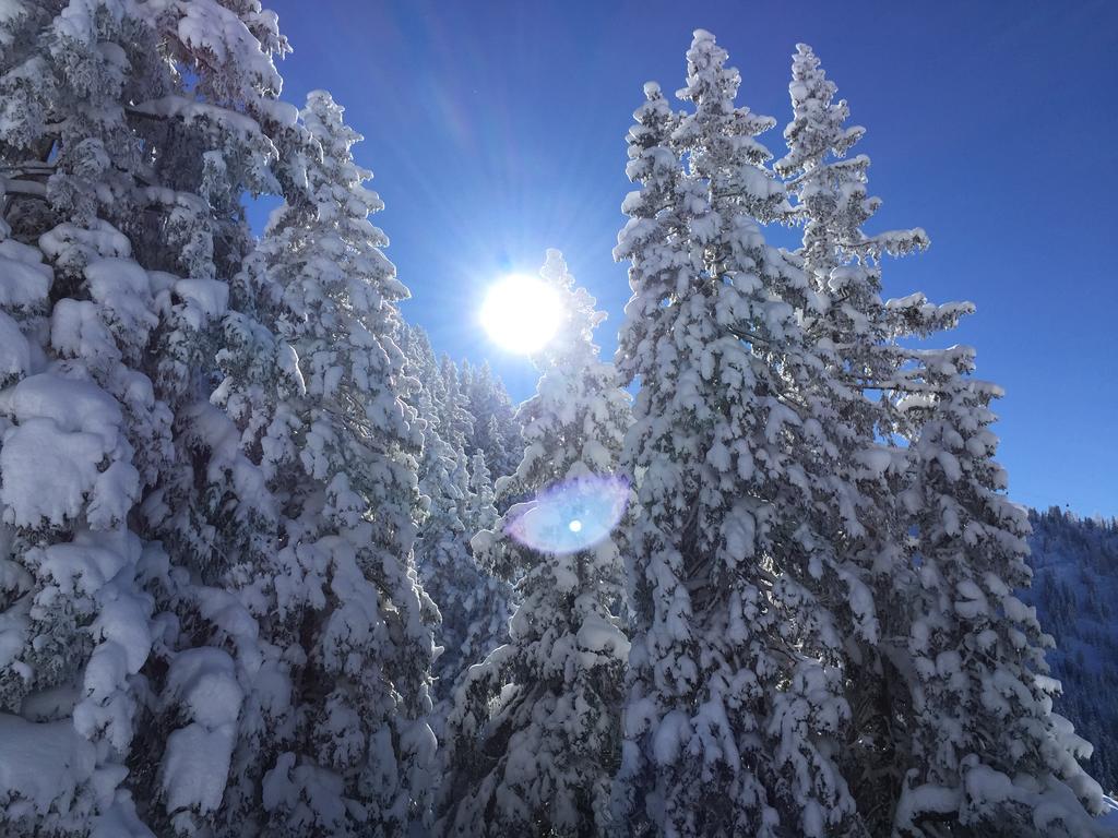 Das Alpbach Juwel Экстерьер фото