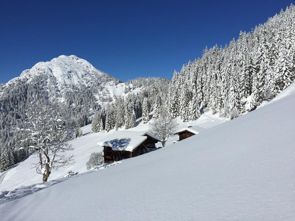 Das Alpbach Juwel Экстерьер фото