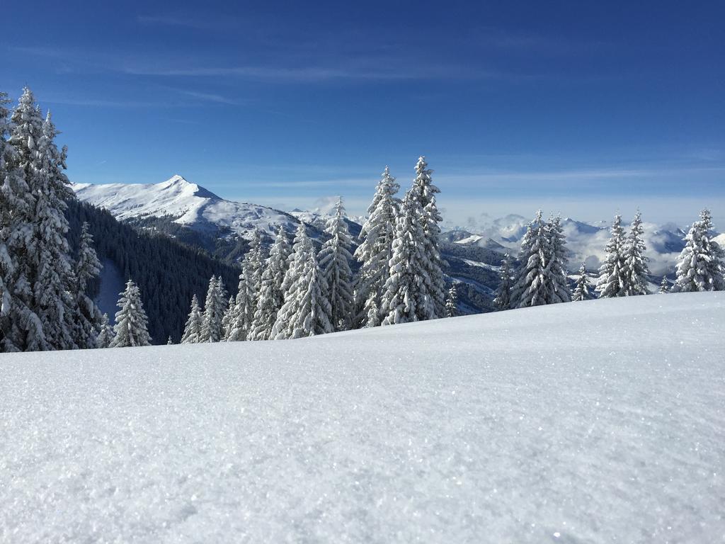 Das Alpbach Juwel Экстерьер фото