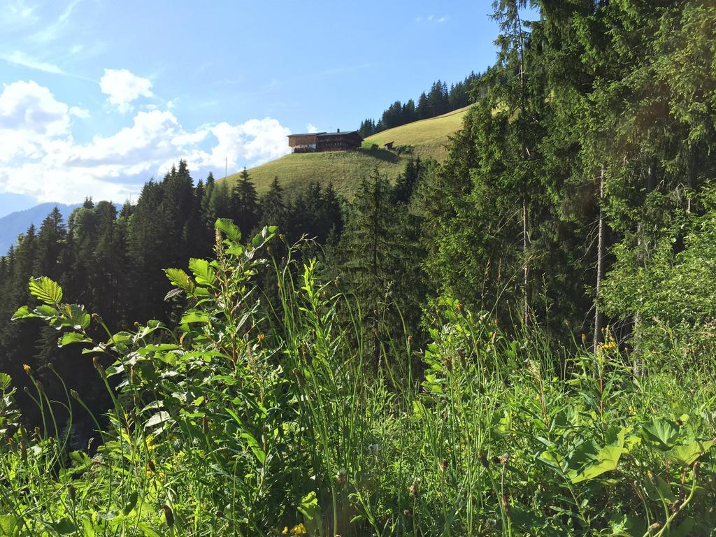 Das Alpbach Juwel Экстерьер фото